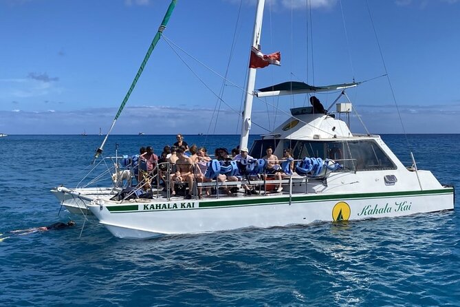 Oahu Catamaran Snorkel Tour: See Turtles 100% Guaranteed - Is $49.95 a good value?