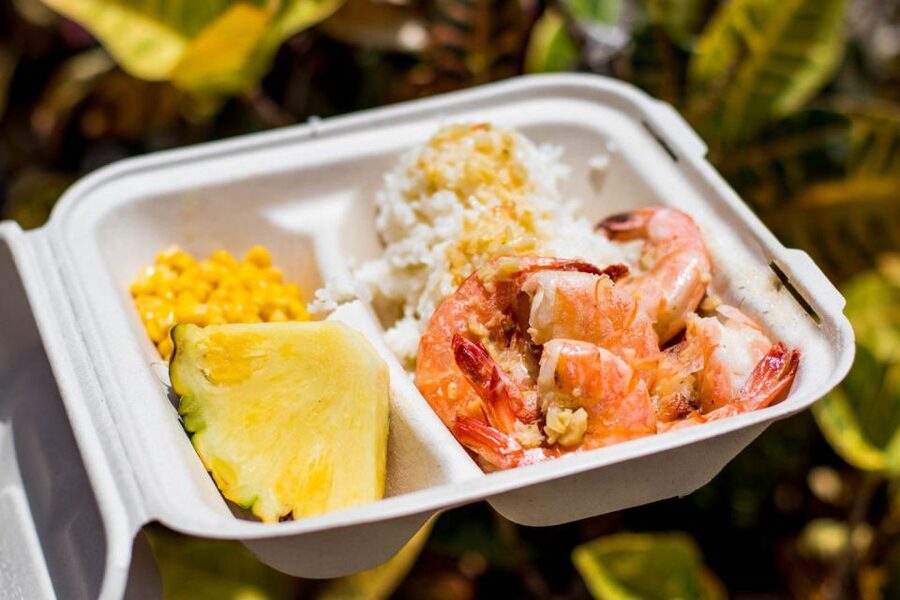 Oahu: Circle Island Day Trip with Shrimp Plate Lunch - Key points to know before booking