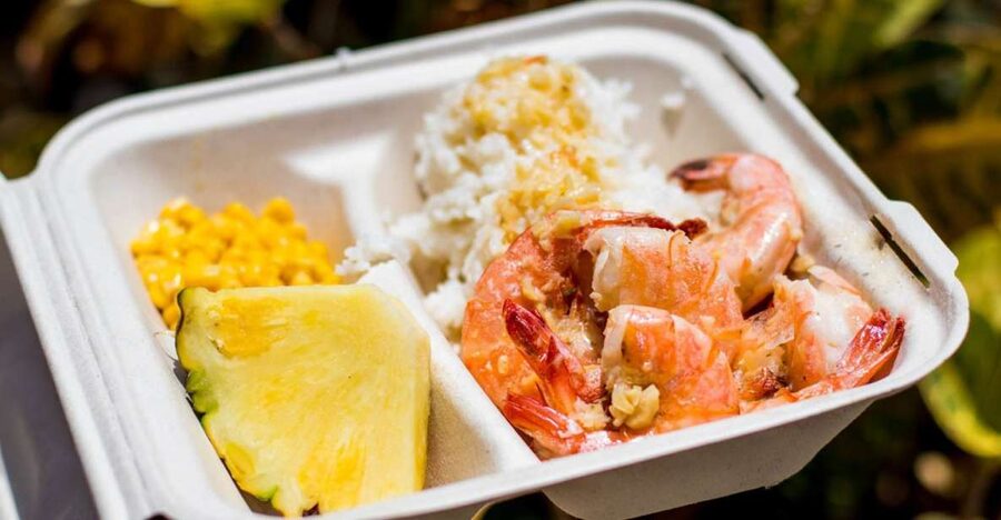 Oahu: Circle Island Day Trip with Shrimp Plate Lunch - Halona Blowhole and Makapuʻu: Oahu’s southeastern coast