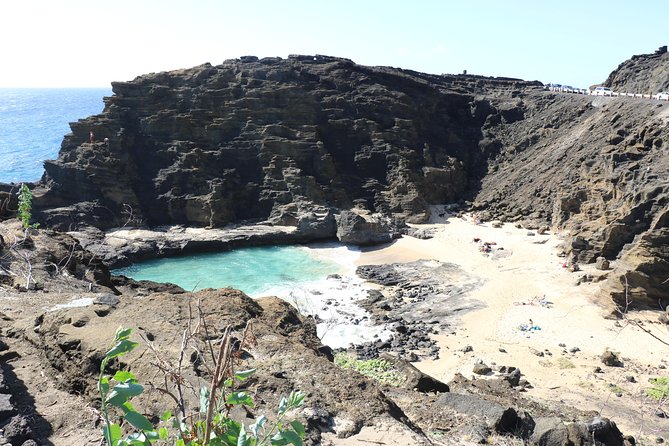 Oahu Circle Island Small Group Tour - Who should book this Oahu circle tour?