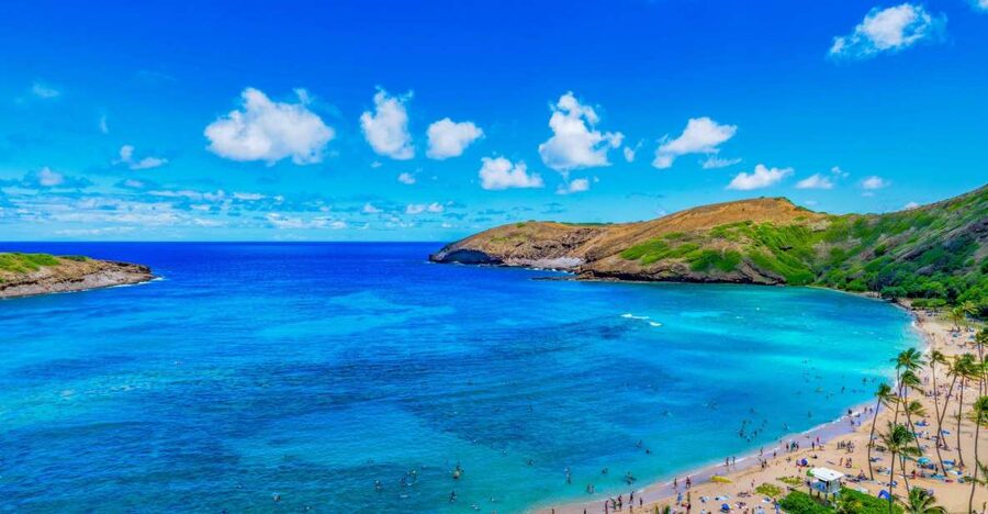 Oahu: Circle Island Top Sights Full-Day Tour w/ Local Guide - Why this tour works for a first day on Oahu