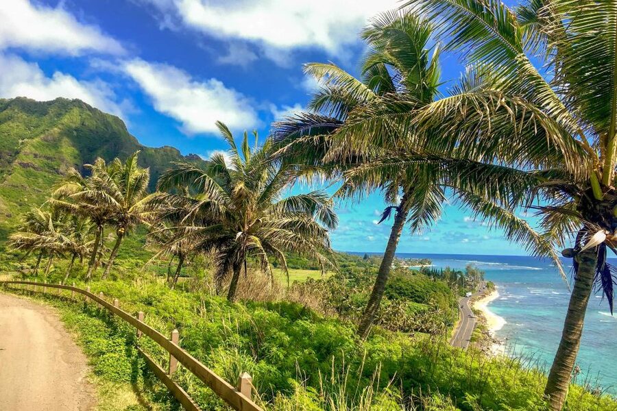 Oahu: Circle Island Top Sights Full-Day Tour w/ Local Guide - The guide is the tour’s biggest asset