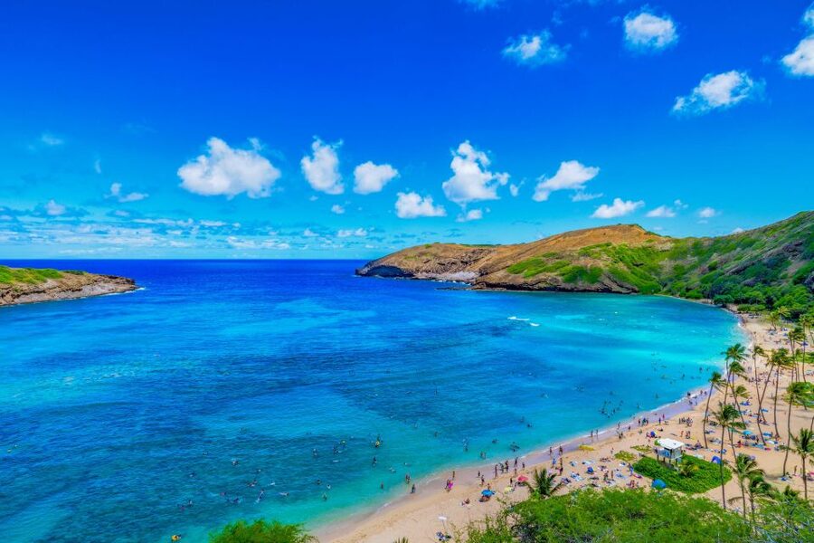 Oahu: Circle Island Top Sights Full-Day Tour w/ Local Guide - From Diamond Head to Makapu‘u Point