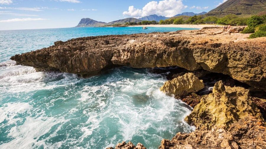 Oahu Circle Island Tour - Best Spots & Beaches - Waimanalo and the macadamia farm stop