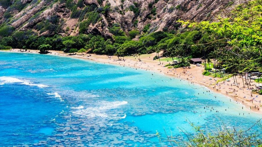 Oahu Circle Island Tour - Best Spots & Beaches - Lunch at Kahuku and the North Shore run