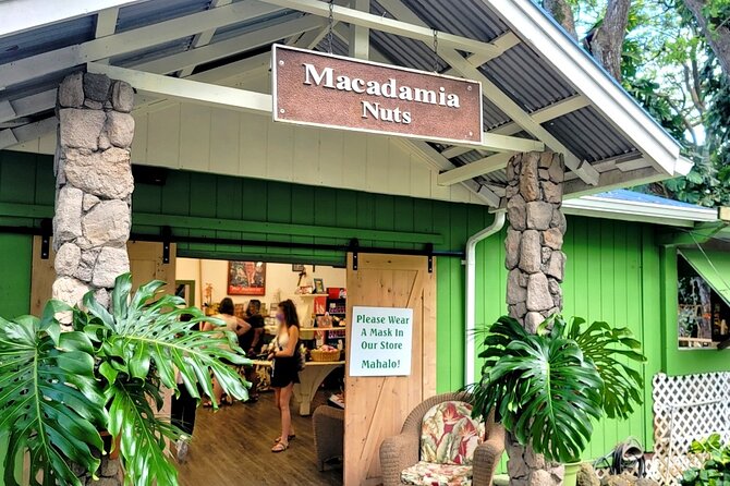 Oahu Circle Island Tour with Byodo-In Temple Admission - Kualoa, Mokoli’i, and Koolau Mountain