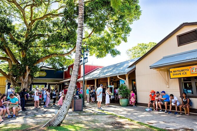 Oahu Circle Island Tour with Byodo-In Temple Admission - Diamond Head and the southeast coast