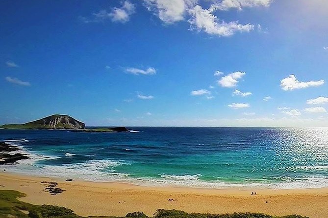 Oahu Circle Island Tour with Turtle Snorkeling— Small-Groups - Farm lunch, taro, and North Shore flavors