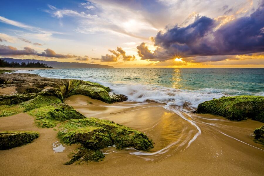 Oahu: Complete Island Tour with Tropical Waterfall Swimming - Kahuku food trucks and North Shore flavors
