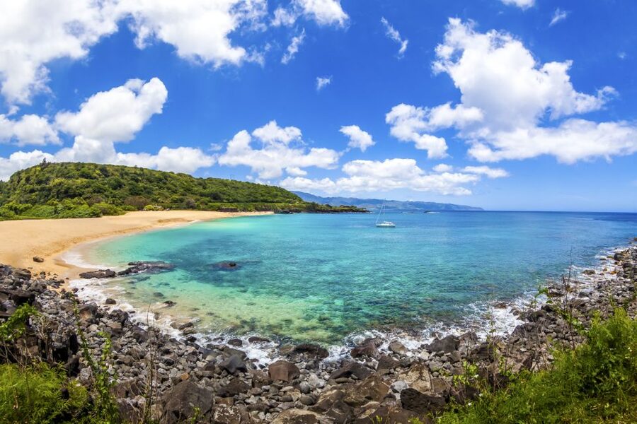 Oahu: Complete Island Tour with Tropical Waterfall Swimming - Makapuʻu and Halona on the coastal return