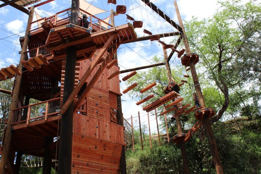 Oahu: Coral Crater Challenging Adventure Course - Should you book the Coral Crater course?