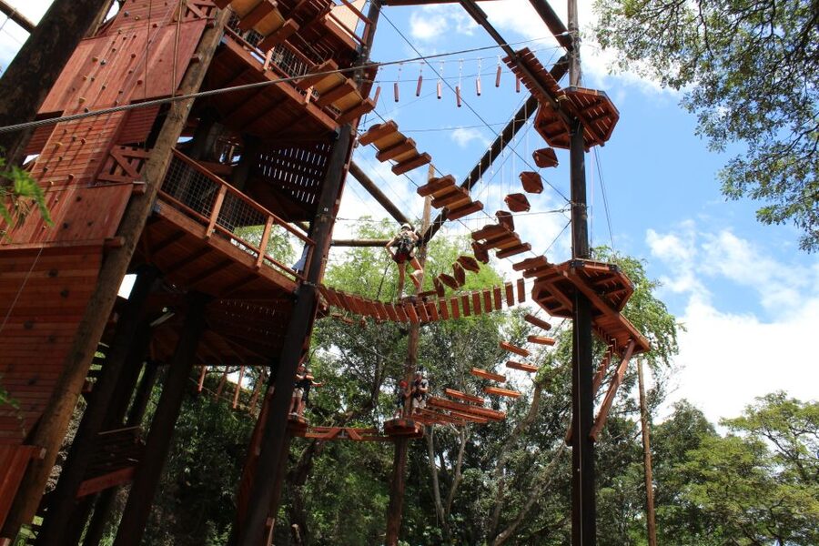Oahu: Coral Crater Challenging Adventure Course - Working through 18 challenges above the ground