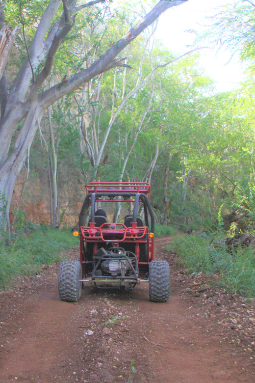 Oahu: Coral Crater Zipline and Offroad ATV Adventure - Six ziplines, one good dose of nerves