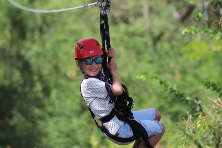 Oahu: Coral Crater Zipline Tour - What the high rating tells you, and what it does not
