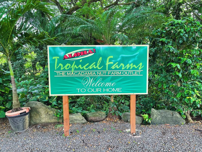 Oahu: Diamond Head Crater Hike and North Shore Experience - Kualoa Regional Park and the east coast views
