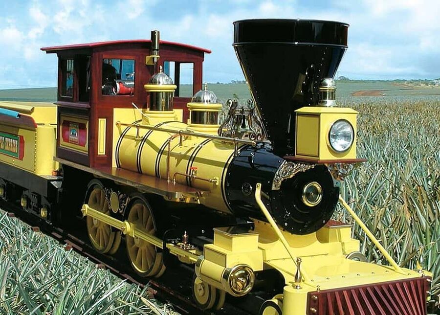 Oahu: Dole Plantation & Haleiwa Express Deluxe Tour - Key points to know before you book