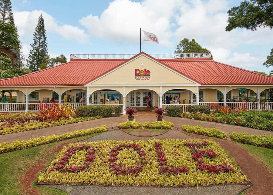 Oahu: Dole Plantation & Haleiwa Express Deluxe Tour - Haleiwa: two hours for food and browsing