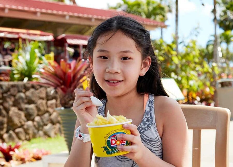 Oahu: Dole Plantation & Haleiwa Express Deluxe Tour - What $100 really buys you