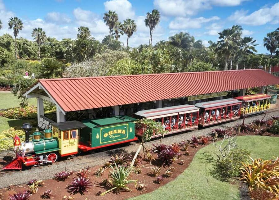 Oahu: Dole Plantation & Haleiwa Express Deluxe Tour - Who will enjoy this day most