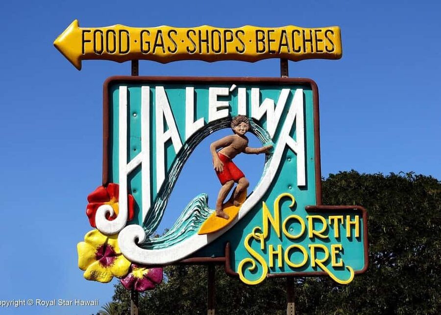 Oahu: Dole Plantation & Haleiwa Express Deluxe Tour - Should you book the Dole and Haleiwa tour?