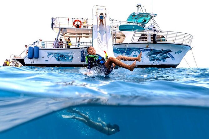 Oahu Dolphin and Snorkel Tour with Waikiki Pickup & Lunch - Snorkeling with green sea turtles