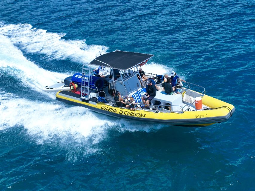 Oahu: Dolphin Swim and Turtle Snorkel Excursion in Waianae - Searching for dolphins in open water