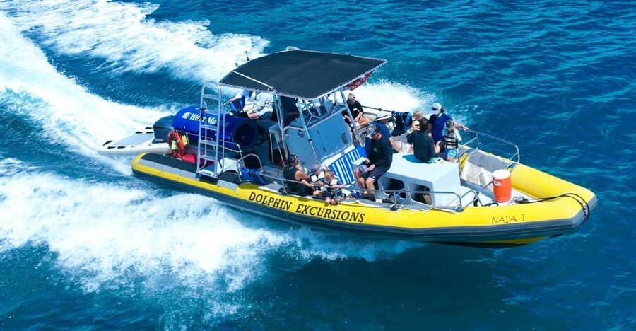 Oahu: Dolphin Swim and Turtle Snorkel Excursion in Waianae - The early hotel pickup across Oahu