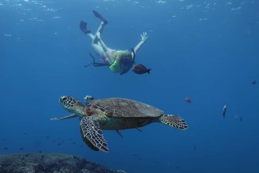 Oahu: Dolphin Watching & Turtle Snorkeling with Waterslide - Starting with E Ho Mai and the safety briefing