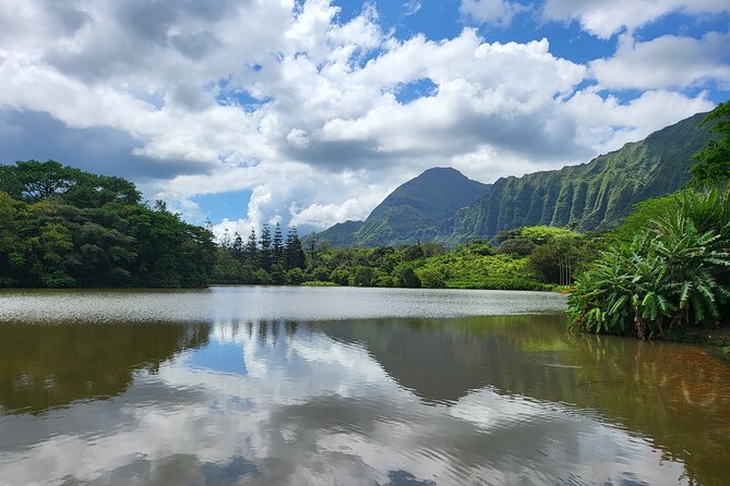 Oahu Fun Circle Island Tour With Pickup - Puaʻena Point and the turtle chance