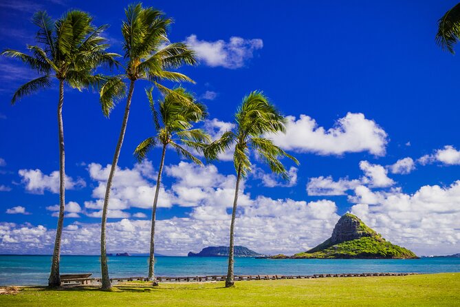 Oahu Grand Circle Island and Haleiwa Tour: 9-Hr Deluxe Experience - Dole Plantation: pineapple, shopping, and DoleWhip