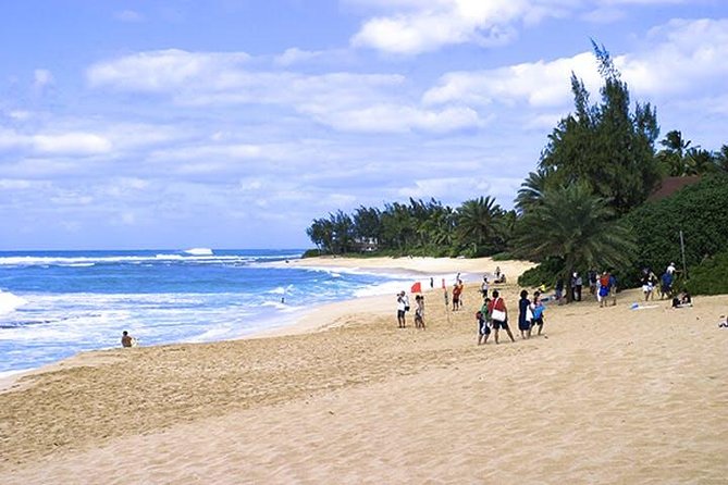 Oahu Grand Circle Island: Discover the Heart & Soul of Hawaii - Dole Plantation and the pineapple stop