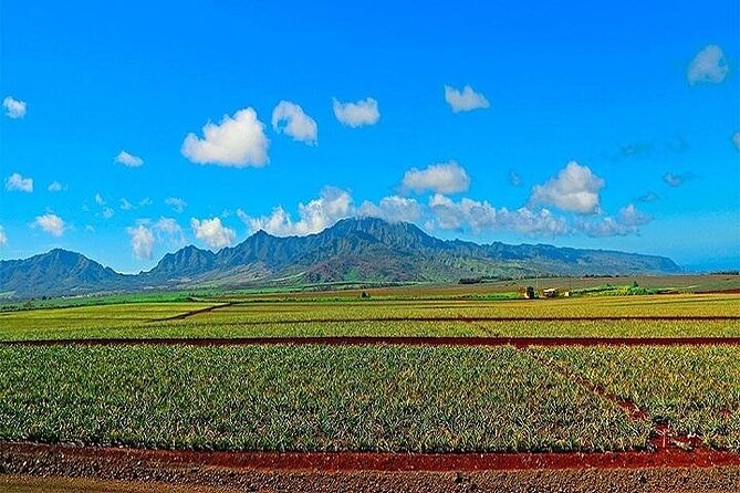 Oahu Grand Circle Island Experience from Waikiki - Haleiwa, Dole Whip, and coffee before Waikiki
