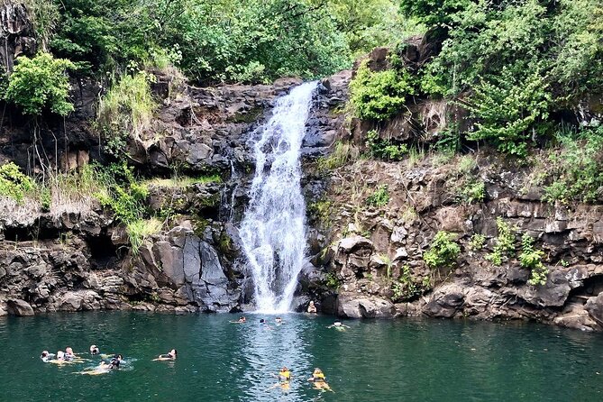 OAHU GRAND CIRCLE Waimea Waterfall, Turtle Beach, North Shore. - Key points to know before you book