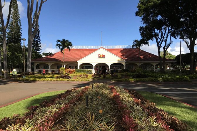 Oahu: Grand Tour Around Island 16 Locations plus Snorkeling - Waimanalo, Chinaman’s Hat, and the east side