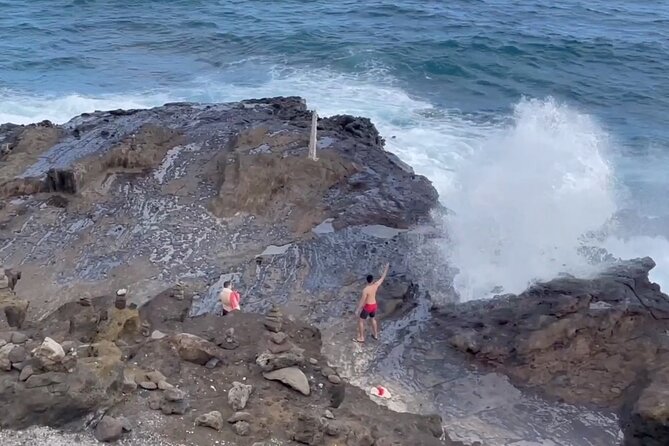 Oahu Guided Circle Island Tour, Swim w/ Turtles, Dole, Blowhole - What this Oahu circle island tour really offers