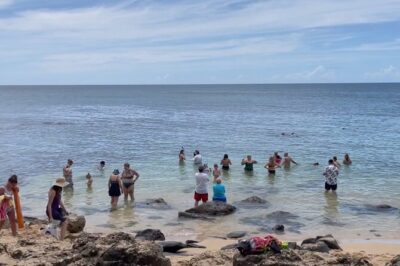 Oahu Guided Circle Island Tour, Swim w/ Turtles, Dole, Blowhole