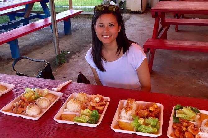 Oahu Guided Circle Island Tour, Swim w/ Turtles, Dole, Blowhole - Guides, vehicles, and the day-to-day comfort