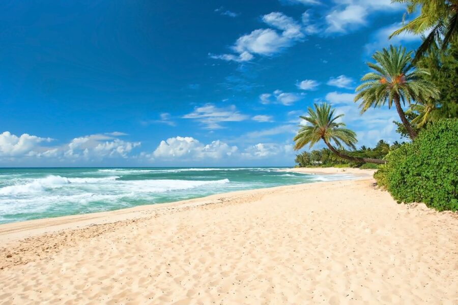 Oahu: Guided Tour of North Shore and Waimea Botanical Garden - A Full Day From Waikiki to Oahu’s North Shore