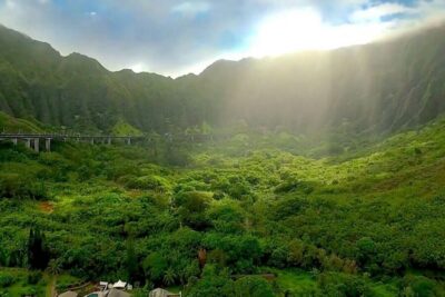 Guided Tour of North Shore and Waimea Botanical Garden