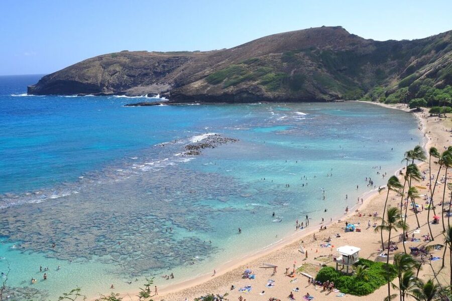 Oahu: Guided Tour of North Shore and Waimea Botanical Garden - Guides Make a Big Difference