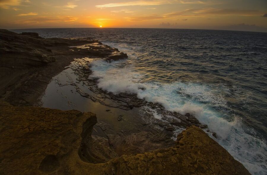 Oahu: Half-Day Sunrise Semi-private Tour from Waikiki - Forest, waterfall, and beach stops
