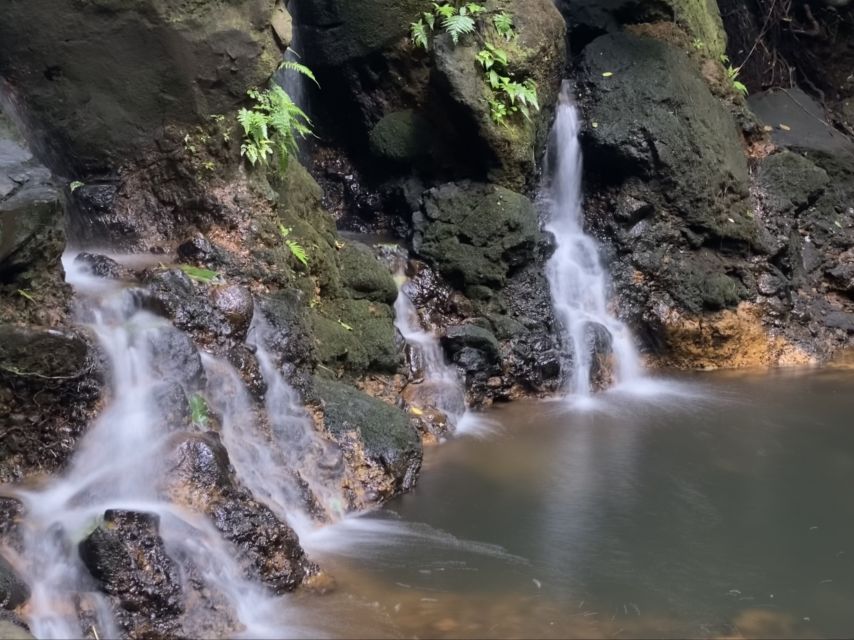 Oahu: Half-Day Sunrise Semi-private Tour from Waikiki - Who will enjoy this morning most