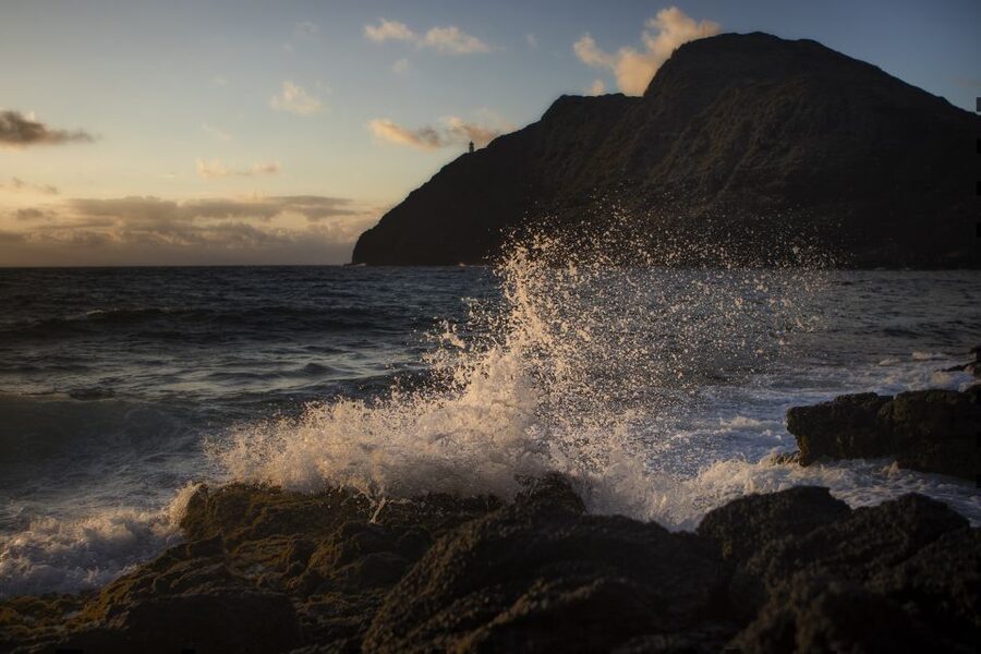 Oahu: Half-Day Sunrise Semi-private Tour from Waikiki - Pali Lookout and the Koʻolau Range