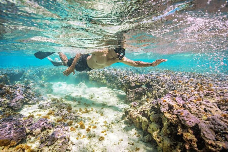 Oahu : Hanauma Bay Admission Ticket+Equipment Rental - Why Hanauma Bay Needs More Planning Than a Normal Beach Day