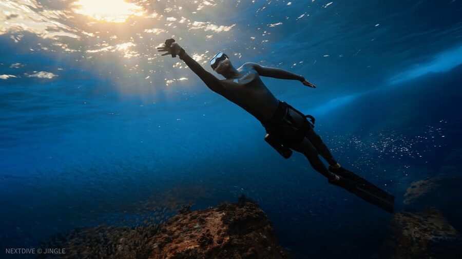Oahu : Hanauma Bay Admission Ticket+Equipment Rental - Transportation Is the Main Missing Piece