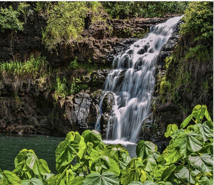 Oahu Hidden Gems & Waimea Botanical Garden/Waterfall tour - Key points at a glance