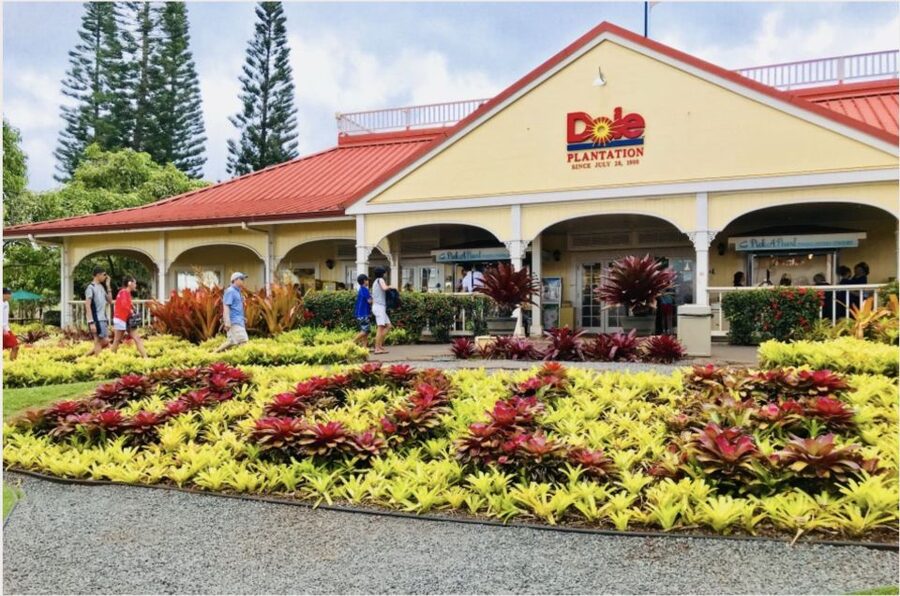 Oahu Hidden Gems & Waimea Botanical Garden/Waterfall tour - North Shore scenery and the food part of the day