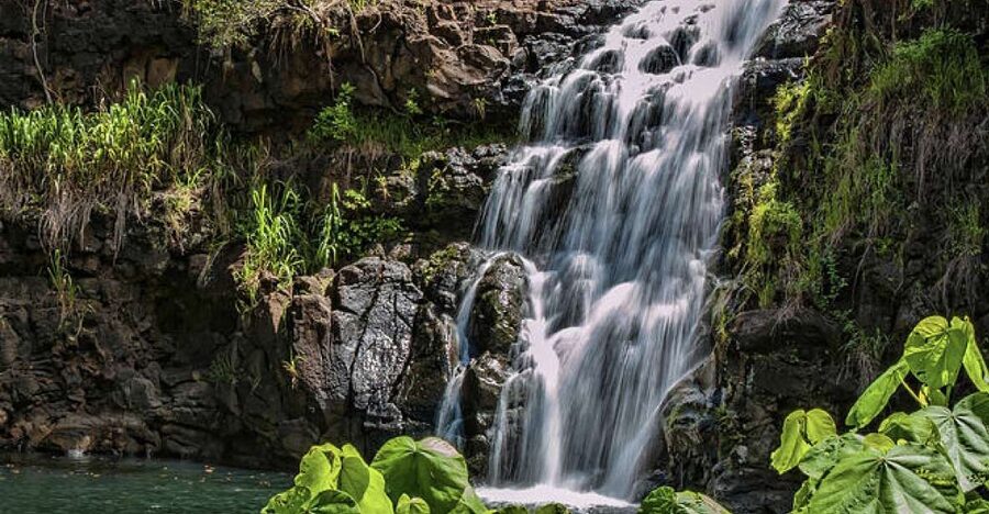 Oahu Hidden Gems & Waimea Botanical Garden/Waterfall tour - What this Oahu day is really designed to do