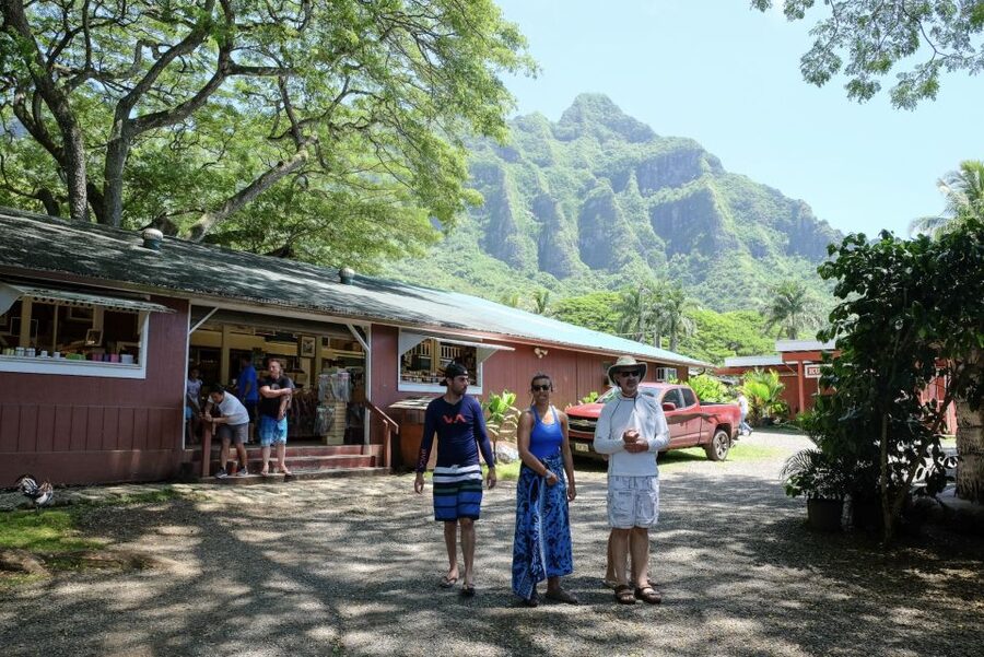 Oahu Hidden Gems & Waimea Botanical Garden/Waterfall tour - Pali Lookout: cliffs, wind, and Hawaiian history