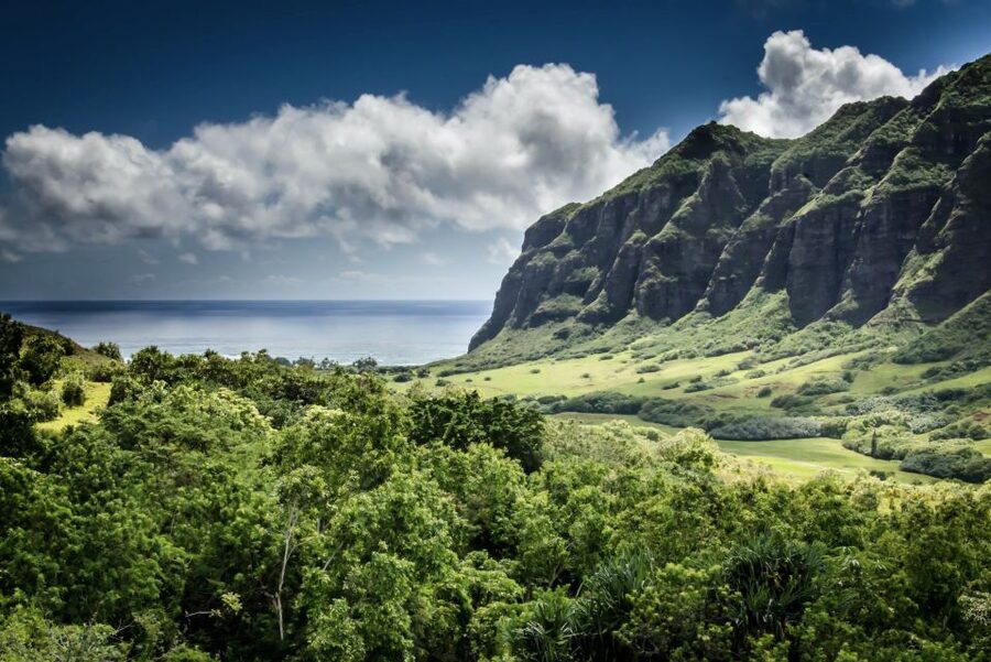 Oahu Hidden Gems & Waimea Botanical Garden/Waterfall tour - Starting with Waikiki pickup and island views